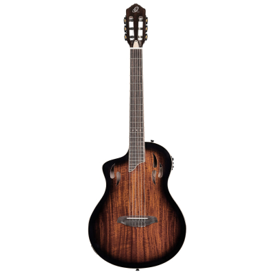 RTPDLX-ACA-L i gruppen Gitarr / Nylonstrngad Gitarr / Ortega / TourPlayer Series hos Crafton Musik AB (332156053349)