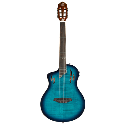 RTPDLX-FMA-L i gruppen Gitarr / Nylonstrngad Gitarr / Ortega / TourPlayer Series hos Crafton Musik AB (332156103349)